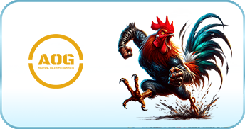 AOG ĐÁ GÀ - Tải App SHBET